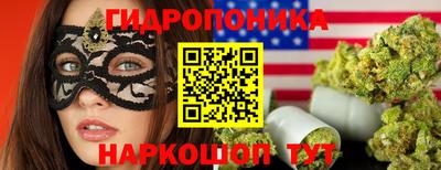 шишки Усть-Илимск