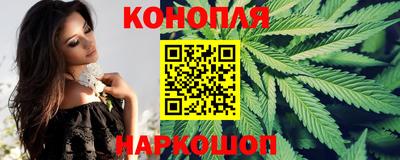 шишки Усть-Илимск